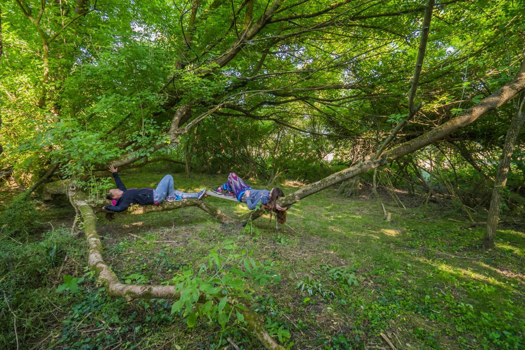 Szellős Rét Camping Balvanyos Exterior foto